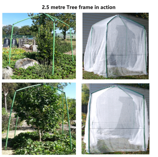 Flexi Garden Tree Frame - 2.5 metres tall