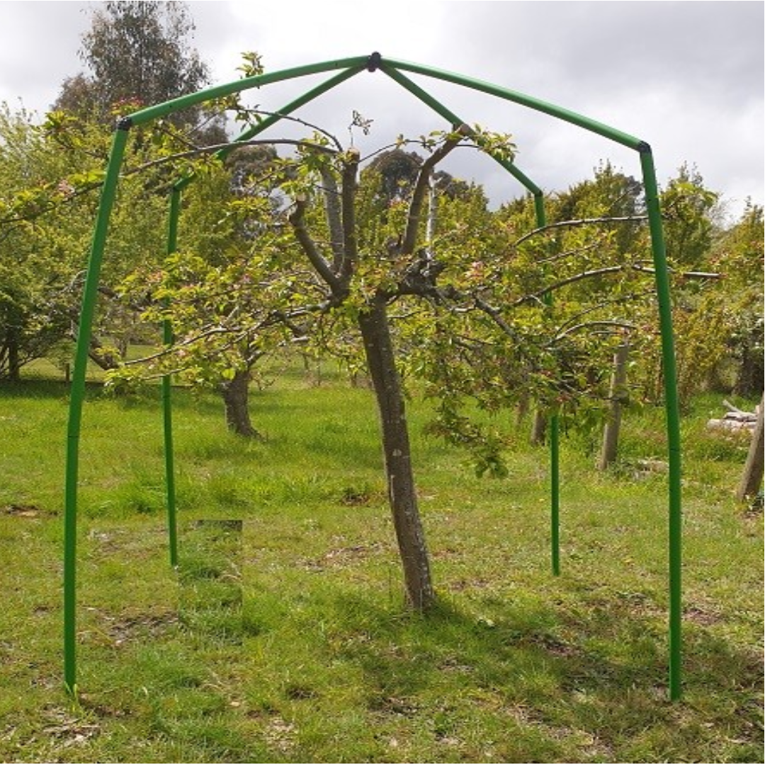 Tree Like Frame Flexi Garden Tree Frame - 2.5 metres tall - Flexi Garden Frames