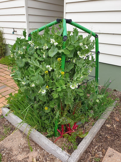25 metres of Plant Ties & Threading Bodkin
