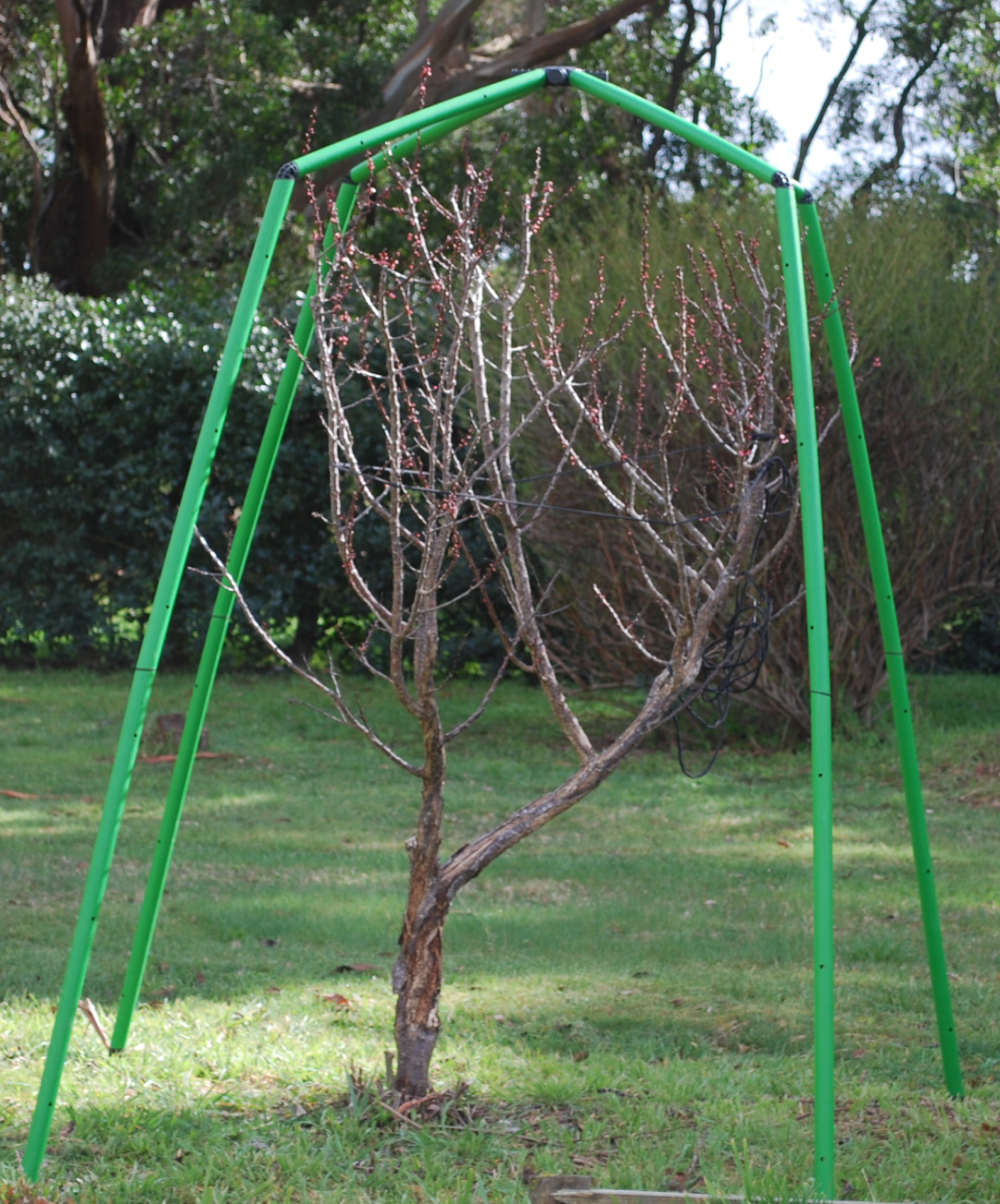 Flexi Garden Tree Frame 2 metres tall Flexi Garden Frames